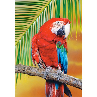  Piece Puzzles on Accueil   Puzzles Par Th  Me   Puzzles   Animaux   Puzzles   Oiseaux