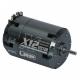 Miniature Moteur Vector x12 Brushless 4.5T lrp 270050692