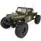 Miniature Element RC Enduro Ecto Trail Truck 1:10 RTR Green element rc EL40117