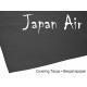 Miniature Papier Japon JAPAN AIR 16g noir 500 x 690 mm (10 pieces) - Pichler pichler C9383