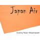 Miniature Papier Japon JAPAN AIR 16g orange 500 x 690 mm (10 pieces) - Pichler pichler C9380