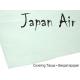 Miniature Papier Japon JAPAN AIR 16g blanc 500 x 690 mm (10 pieces) - Pichler pichler C9373