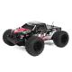 Miniature Véhicule RC Pirate XT-T Brushless t2m T4971B